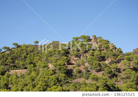 view of the natural reserve of the desert of las palmas 136125523