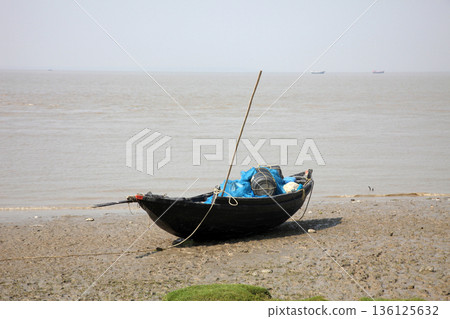 Boats of fishermen stranded in the mud at low tide on the coast of Bay of Bengal, India 136125632