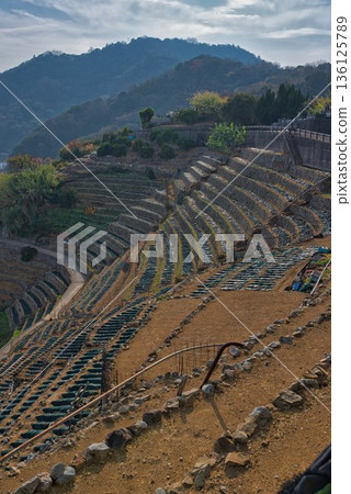 Terraced fields at Yusamizugaura preparing for winter 136125789