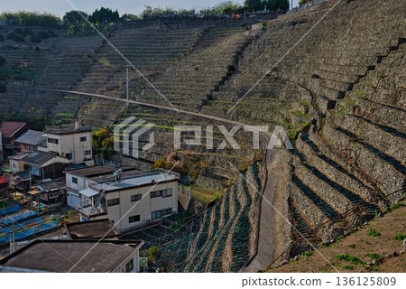 Terraced fields at Yusamizugaura preparing for winter Terraced fields at Yusamizugaura preparing for winter 136125809