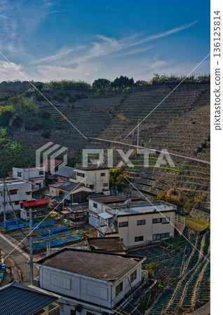 Terraced fields at Yusamizugaura preparing for winter Terraced fields at Yusamizugaura preparing for winter 136125814