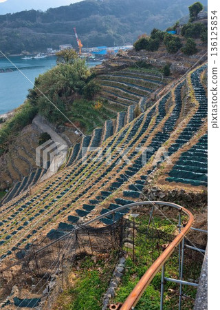 Terraced fields at Yusamizugaura preparing for winter Terraced fields at Yusamizugaura preparing for winter 136125854