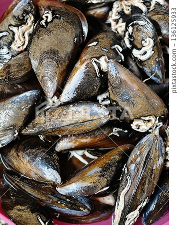 Fresh mussels soaking in water being prepared for cooking 136125933