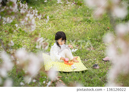 孩子們在櫻花盛開的公園裡吃午餐。 孩子們在櫻花盛開的公園裡吃午餐。 136126022