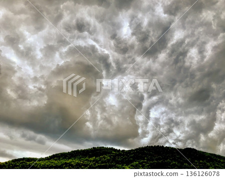 storm clouds over the pine forest that is part of the natural park storm clouds over the pine forest that is part of the natural park 136126078