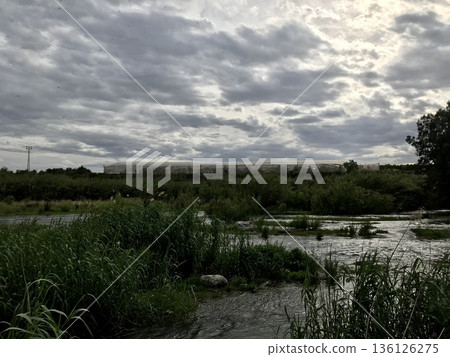 landscape photographed on a walk along the riverside 136126275