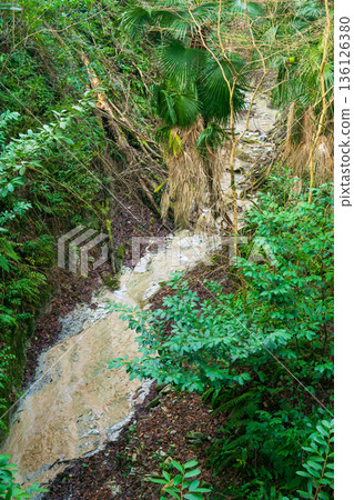 stream in a ravine in the jungle 136126380