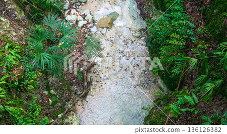 Mountain stream in tropical forest 136126382