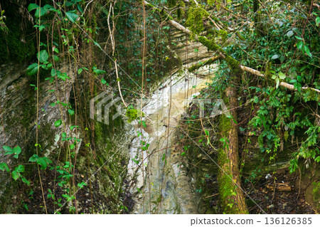 Small river in the canyon in the tropical forest in winter 136126385