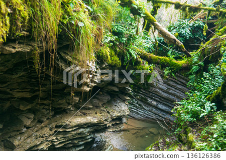 stream among limestone rocks in a tropical forest 136126386
