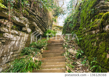 Stone stairs in the park among natural rocks 136126388