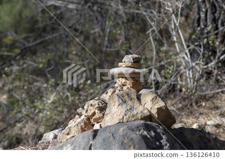 stone tower in the middle of the mountain pine forest 136126410