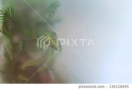 Underwater scene with plants in a blurred background 136126695