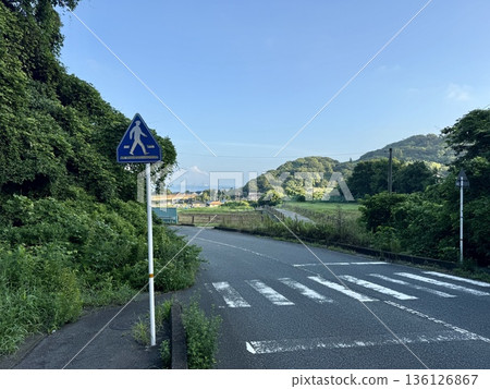 清晨的彥島:鄉村人行道 清晨的彥島:鄉村人行道 136126867