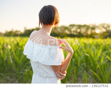 Beautiful woman in white dress standing in summer field during golden sunset in Croatia, warm sunlight, romantic evening mood, natural countryside atmosphere, soft wind and peaceful scene Beautiful woman in white dress standing in summer field during golden sunset in Croatia, warm sunlight, romantic evening mood, natural countryside atmosphere, soft wind and peaceful scene 136127532