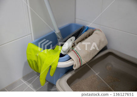 Cleaning bucket with mop gloves and cloth in modern home bathroom interior Cleaning bucket with mop gloves and cloth in modern home bathroom interior 136127651