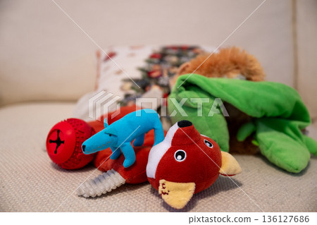 Colorful dog toys and plush animals scattered on soft sofa background Colorful dog toys and plush animals scattered on soft sofa background 136127686