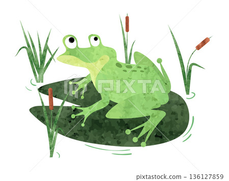 Cartoon Frog sitting on lily pad. Vector watercolor illustration 136127859