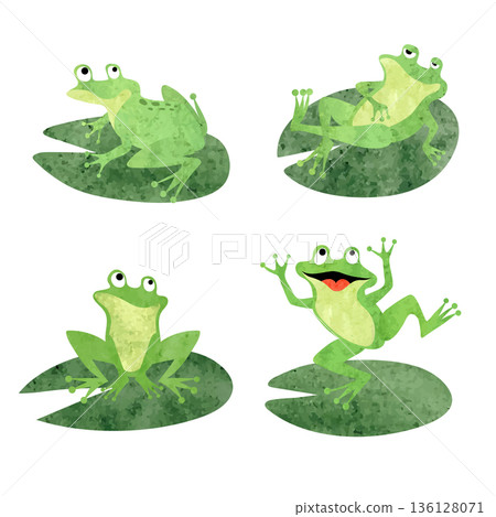 Cartoon frogs sitting on lily pads. Vector watercolor green toads illustration Cartoon frogs sitting on lily pads. Vector watercolor green toads illustration 136128071