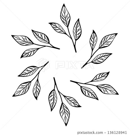 Circular Coffee and Tea Leaf Branches Minimalist Line Art Vector 136128941