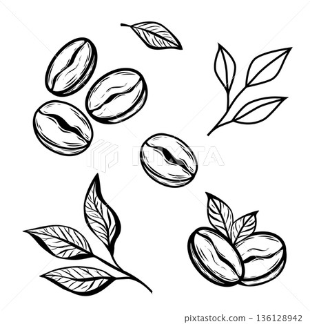 Coffee Bean and Leaf Line Art Vector Set Coffee Bean and Leaf Line Art Vector Set 136128942