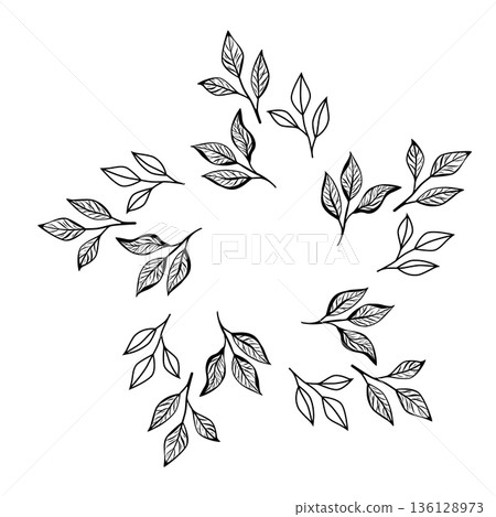 Coffee Leaf Circle Minimalist Botanical Line Art Vector Illustration 136128973