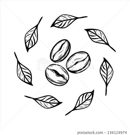 Coffee Beans with Circle of Leaves Line Art Vector Illustration 136128974