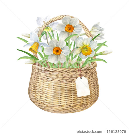 Watercolor illustration of a wicker basket with white and yellow daffodils and a hanging gift tag, botanical style. Perfect for spring cards, invitations, labels, decor, and packaging Watercolor illustration of a wicker basket with white and yellow daffodils and a hanging gift tag, botanical style. Perfect for spring cards, invitations, labels, decor, and packaging 136128976
