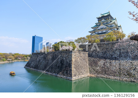 Osaka Castle and Spring Cherry Blossoms (Chuo Ward, Osaka City, Osaka Prefecture) 136129156