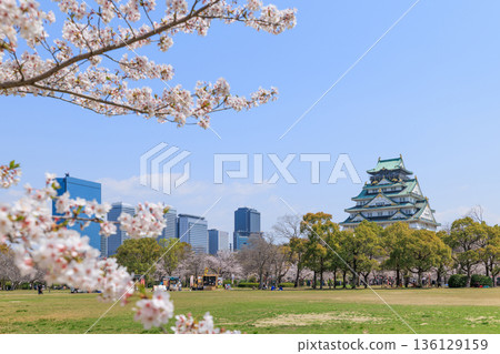 大阪城和西之丸庭園的春季櫻花(大阪府大阪市中央區) 大阪城和西之丸庭園的春季櫻花(大阪府大阪市中央區) 136129159