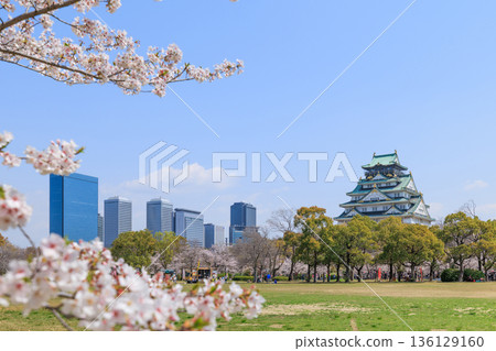 大阪城和西之丸庭園的春季櫻花(大阪府大阪市中央區) 大阪城和西之丸庭園的春季櫻花(大阪府大阪市中央區) 136129160