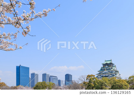 大阪城和西之丸庭園的春季櫻花（大阪府大阪市中央區） 136129165