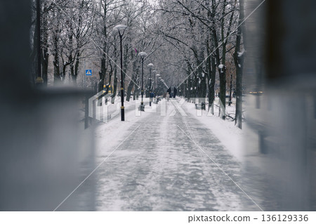 a view of a winter city street through an icy metal structure 136129336