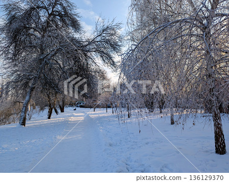 Icy road through a serene winter wonderland with snow and frosted branches. Icy road through a serene winter wonderland with snow and frosted branches. 136129370