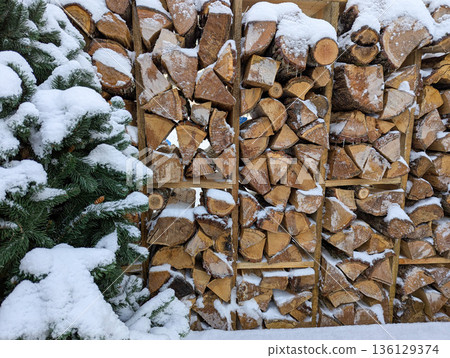 Snow dusted stacked woodpile beside evergreen tree, rustic shed framing neatly split logs with light powdering of fresh snow on edges, rough bark textures Snow dusted stacked woodpile beside evergreen tree, rustic shed framing neatly split logs with light powdering of fresh snow on edges, rough bark textures 136129374