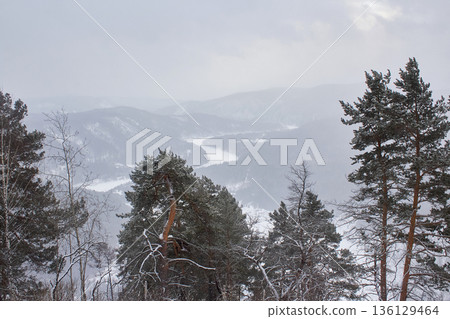 Mountain landscape with snow-covered pine forest and frozen river valley on a cloudy winter day. Nature background for travel and outdoor concept. Mountain landscape with snow-covered pine forest and frozen river valley on a cloudy winter day. Nature background for travel and outdoor concept. 136129464