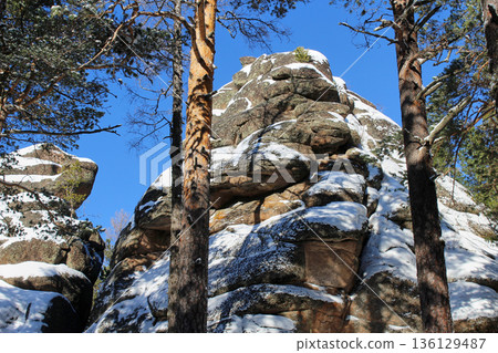 Snow covered rock formations in Krasnoyarsk Pillars national park forest landscape. Winter nature scene for travel 136129487