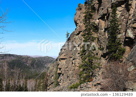 Steep rocky cliff lined with pine trees under clear blue sky. Scenic forested valley landscape in mountainous terrain Steep rocky cliff lined with pine trees under clear blue sky. Scenic forested valley landscape in mountainous terrain 136129489