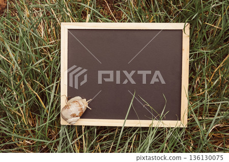 Blank chalkboard with snail on grass, perfect for creative presentations and messages 136130075
