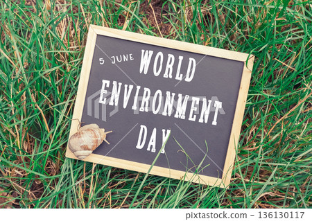 Chalkboard with the words World Environment Day written on it 136130117