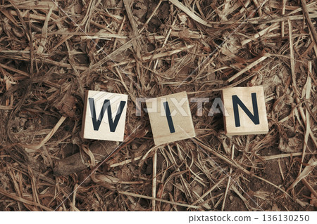 Wooden letter blocks spelling win on a textured natural background of dried grass and leaves 136130250