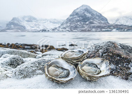 Fresh oysters on rocky shore with snow-capped mountains in the background and calm water Fresh oysters on rocky shore with snow-capped mountains in the background and calm water 136130491