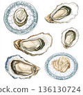 Set of drawings of oysters on plates 136130724