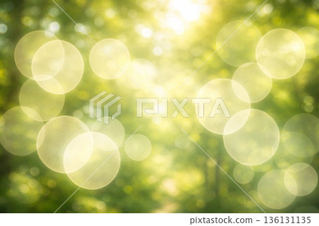 散景森林綠 136131135