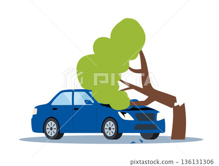 Broken tree fell on car. Crashed automobile with broken roof. Damaged transport. Natural disaster. Vector illustration. 136131306