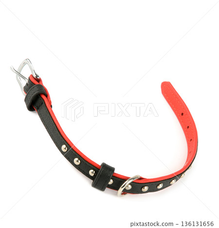 Professional pet accessory with metal studs and silver buckle 136131656