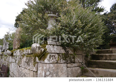 An ancient building in a park in Vigo, northern Italy, with mature trees and spreading branches in spring. concept encompasses tourism, relaxation, sustainable development, urban green spaces. An ancient building in a park in Vigo, northern Italy, with mature trees and spreading branches in spring. concept encompasses tourism, relaxation, sustainable development, urban green spaces. 136131884