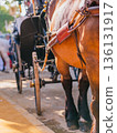 Elegant Horses Adorned for Seville April Fair Celebration 136131917