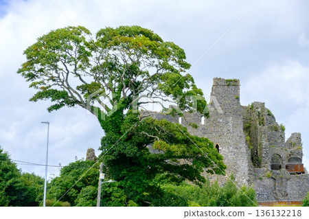 Ancient Carlingford Castle Ruins in Ireland Framed by a Leafy Tree Ancient Carlingford Castle Ruins in Ireland Framed by a Leafy Tree 136132218