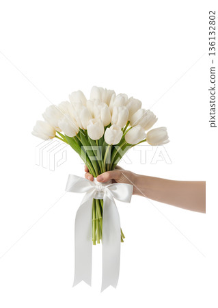 Hand gracefully holding a fresh bouquet of elegant white tulips tied with a simple white satin ribbon, symbolizing purity, spring, and simple beauty 136132802